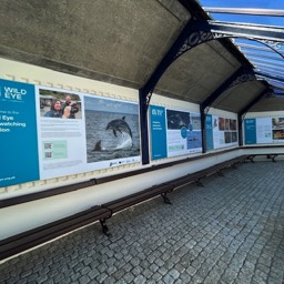 Scarborough Seawathing station, watch Dolphins, Whales,Minky Whale.