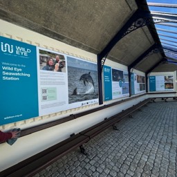 Scarborough Seawathing station, watch Dolphins, Whales,Minky Whale.