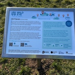 Scarborough Seawathing station, watch Dolphins, Whales,Minky Whale.