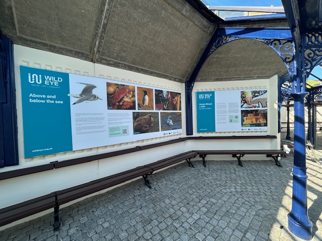 wall directory sign at Leeds Trinity University