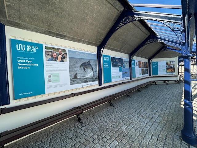 image showing terrible signage on a shop
